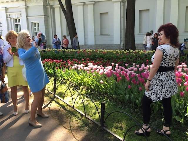 Тюльпаны Елагина острова Санкт-Петербурга