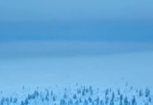 Подолання січневої дурниці: посібник із сезонного благополуччя