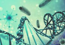 Базова бактеріальна захисна система революціонізує редагування генів: лікування складних генетичних захворювань