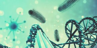 Базова бактеріальна захисна система революціонізує редагування генів: лікування складних генетичних захворювань