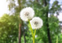 Обнимательная терапия: руководство по безопасным, осознанным прикосновениям