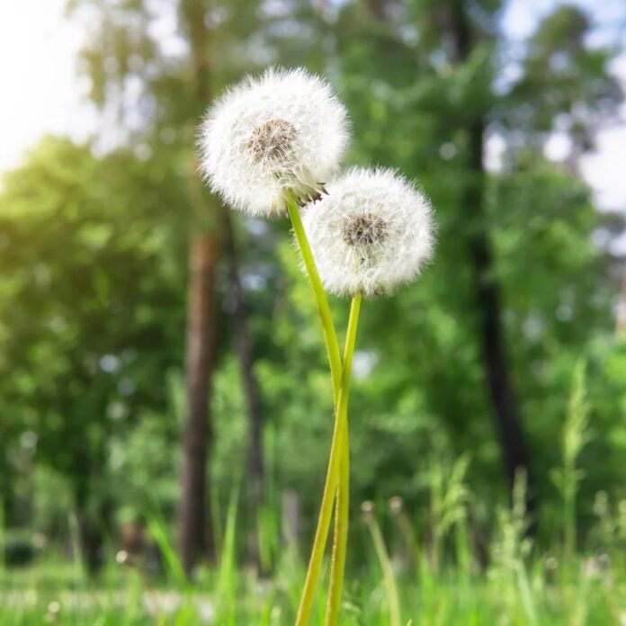 ce2bcf85-f38c-485b-a235-53b2b40e0720