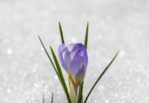 Месяц психического здоровья: руководство по началу года в спокойствии