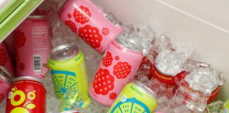 Refrigerantes prebióticos: um Fizz mais saudável ou apenas um marketing inteligente?