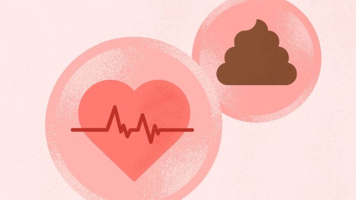 a6f913c8-8c93-48de-95f9-ce4b794ecaed