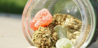 Конопля для Снятия Стресса и Тревоги: Растущий Тренд Натурального Благополучия