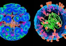 Розуміння Інфекцій, що передаються статевим шляхом: герпес, ВПЛ і поразки в роті