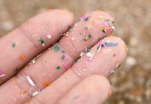 Прихована пластикова загроза: Чому вам потрібно переглянути свій вибір продуктів харчування та кухонного начиння