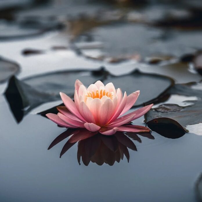 059af5d4-623e-45cf-b3b1-3f0f90d19b1b