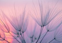 Спокій серед хаосу: посібник з використання медитації при стресі та тривозі