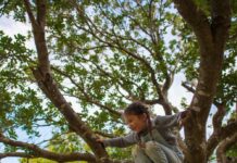 Beyond the Slang: Understanding “FAFO Parenting” and Natural Consequences