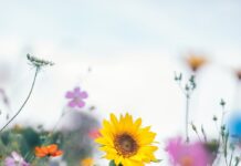 MBTI – не наука, але від цього не менш захоплююче