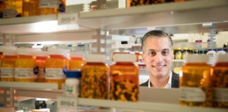 FDA Schválení peptidů: 3 miliardy $ „Divoký západ“
